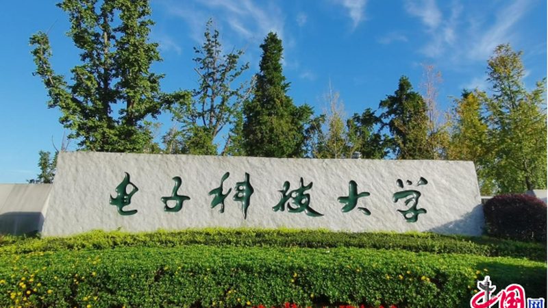 连接器选型：如何从技术角度精准匹配需求